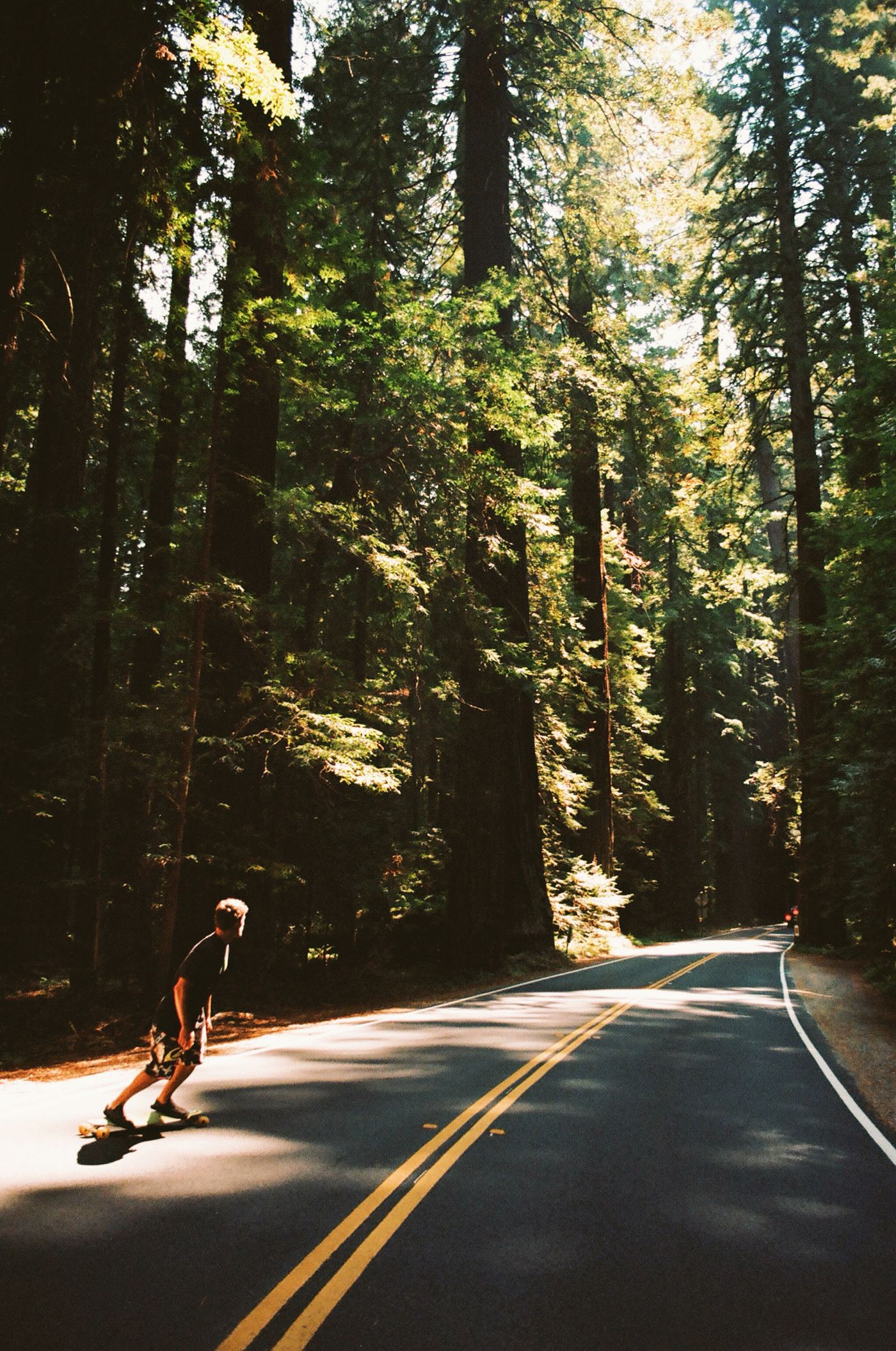 Longboarding down a sunlit road through a redwood forest