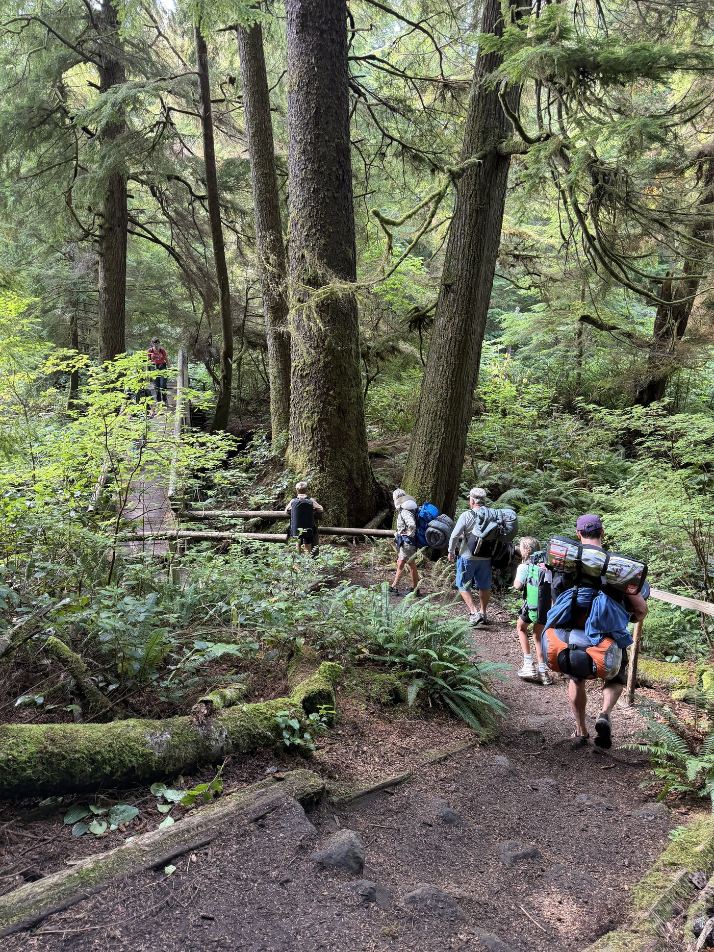 A group of backpackers crossing a footbridge on a forested trail