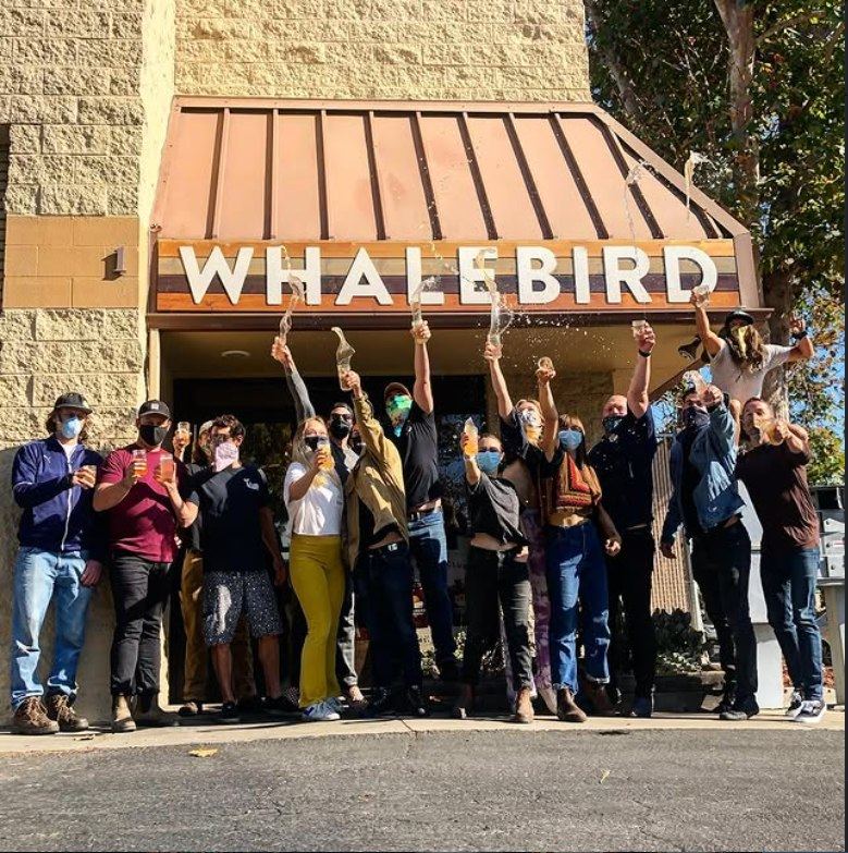 Whalebird Kombucha on Instagram, photo 1 of 30