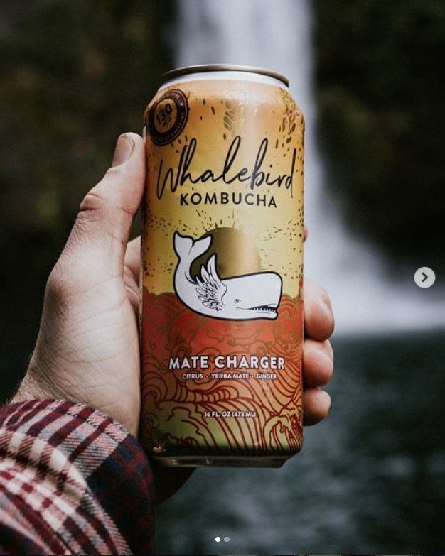 Whalebird Kombucha on Instagram, photo 20 of 30