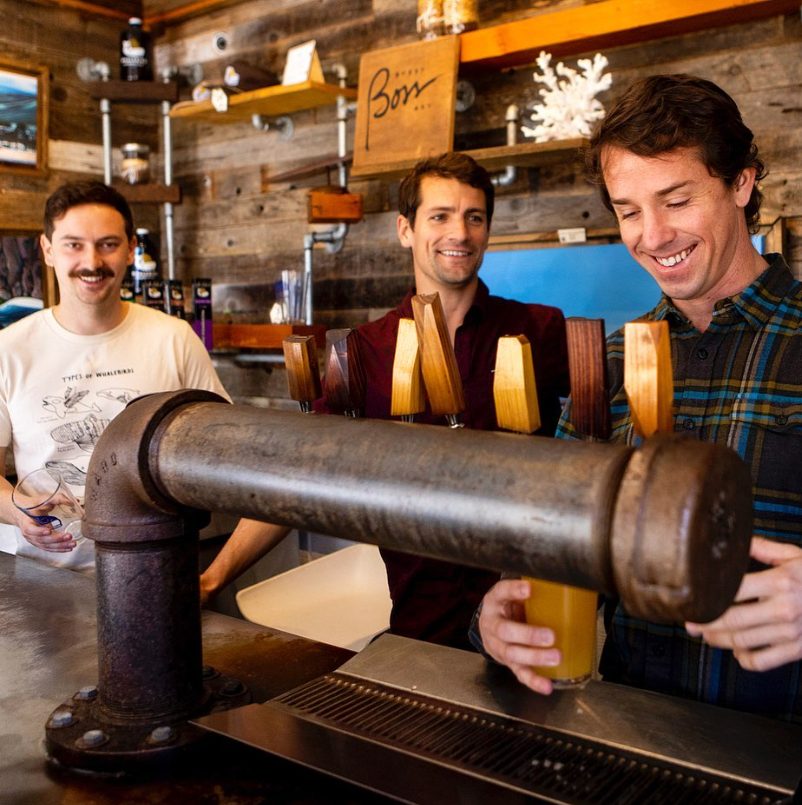 Pouring a pint behind the taps at the Whalebird bar