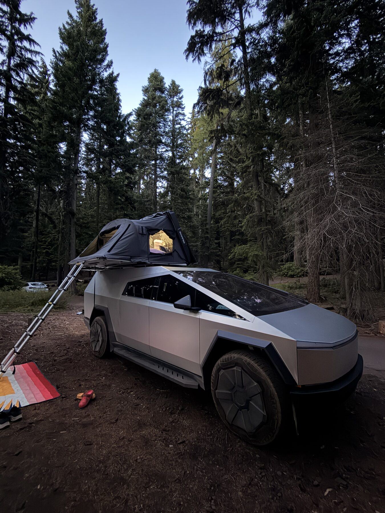 A Cybertruck camped in a pine forest at dusk, rooftop tent deployed and ladder down