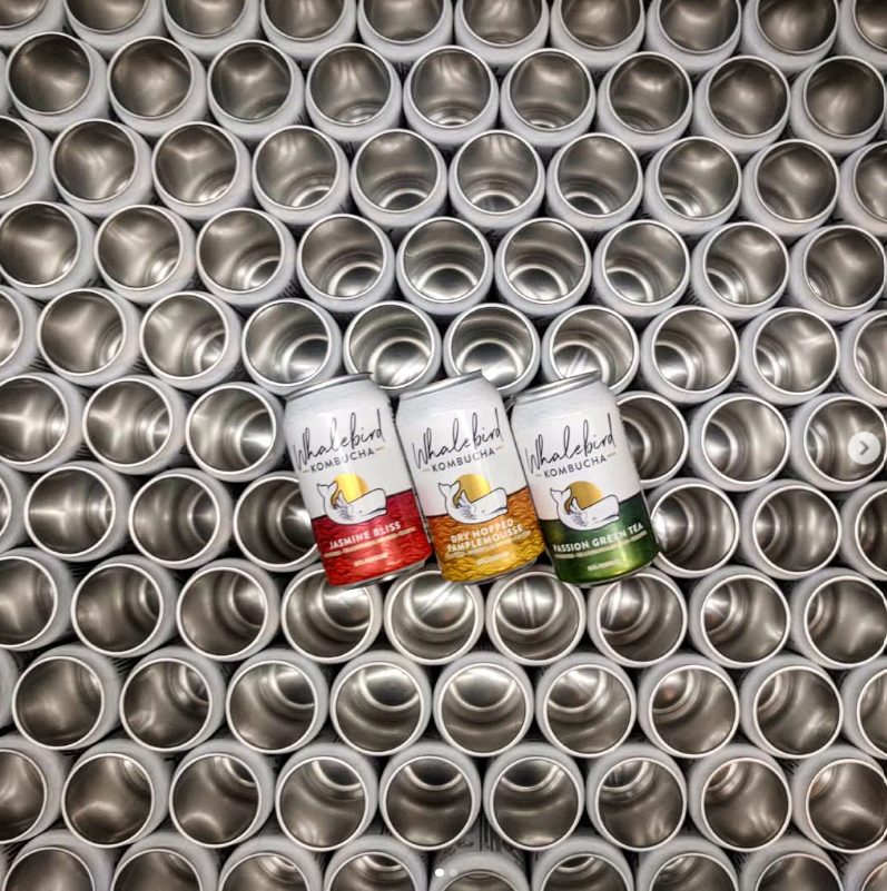 Three Whalebird Kombucha flavors laid across a stack of empty can bodies