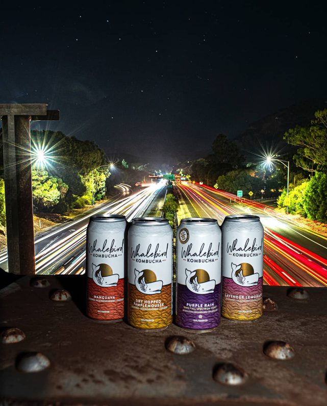Four Whalebird cans lined up on a bridge railing at night with highway light trails behind them