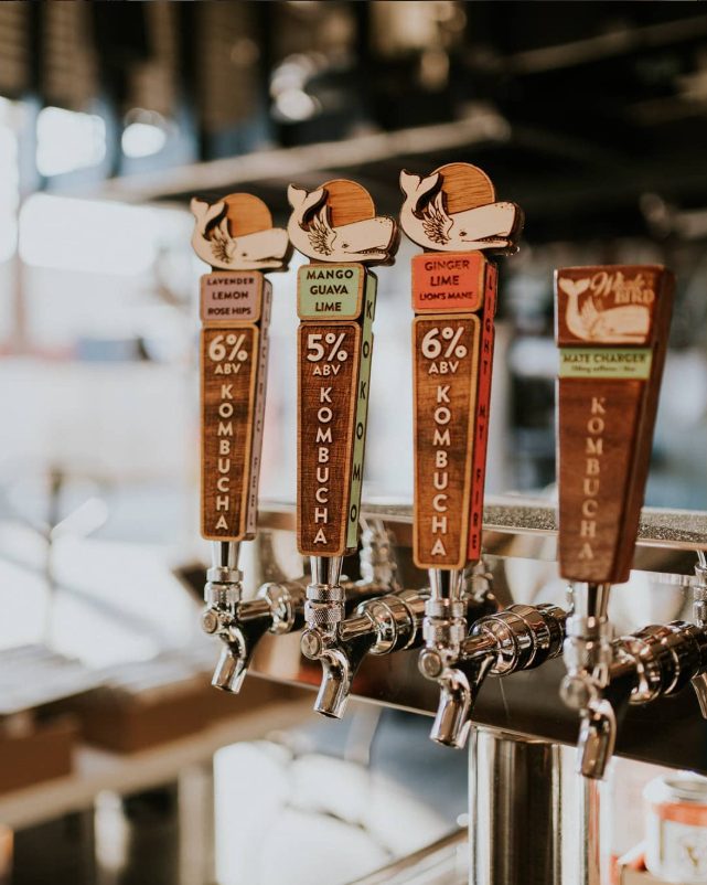 A round Whale Bird Kombucha wood sign displayed above five finished tap handles