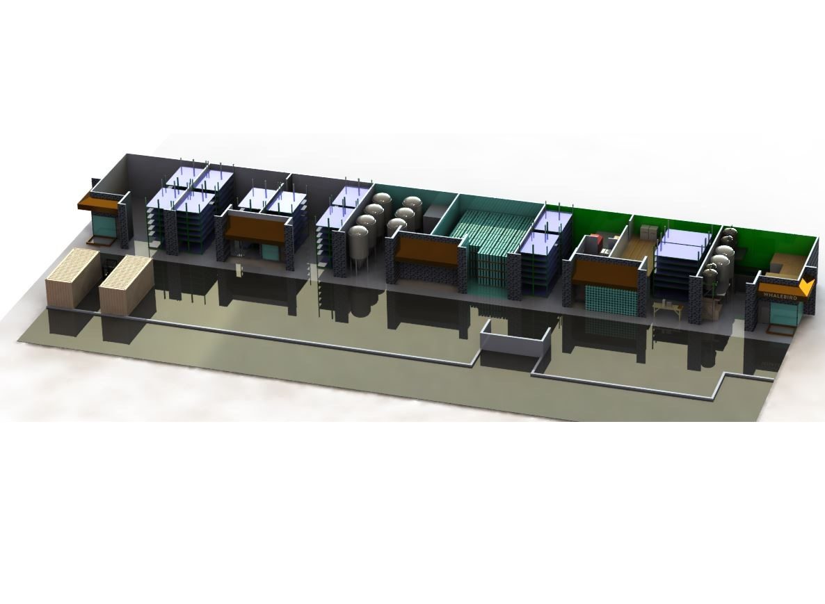 CAD layout of the full facility, all five buildings modeled with tank rows, racking, cold rooms, and the tasting room at the end