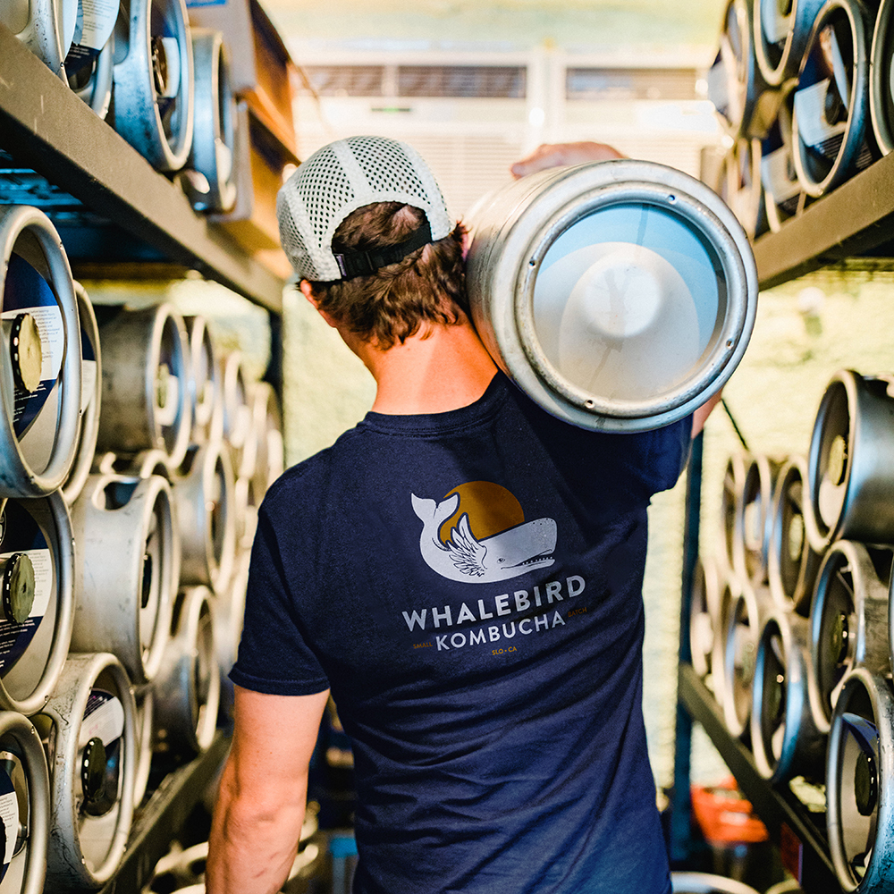 Whalebird wholesale cans
