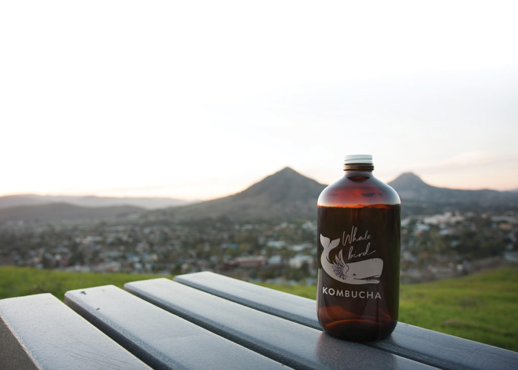 Whalebird Kombucha bottle with mountains