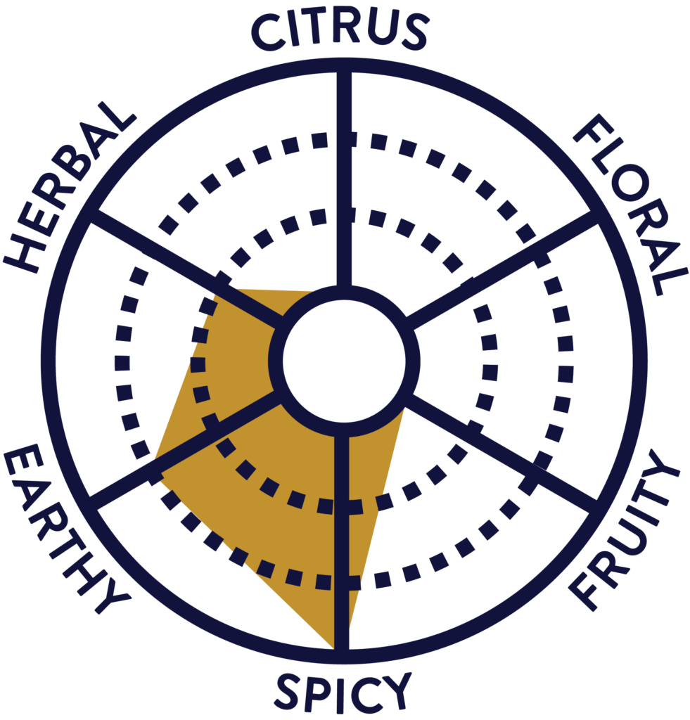 Ginger Sarsaparilla flavor wheel